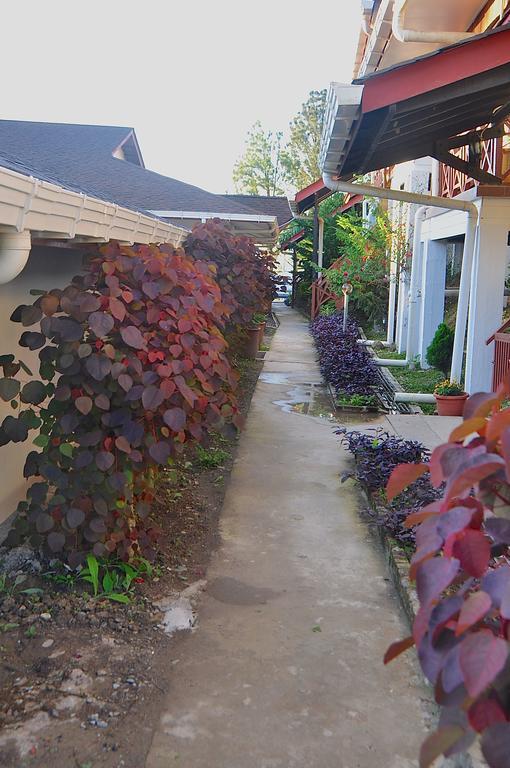 纳瓦卢坤达萨山林小屋 Kampong Kundassan 外观 照片