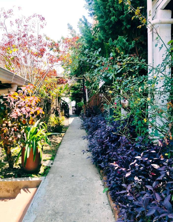 纳瓦卢坤达萨山林小屋 Kampong Kundassan 外观 照片